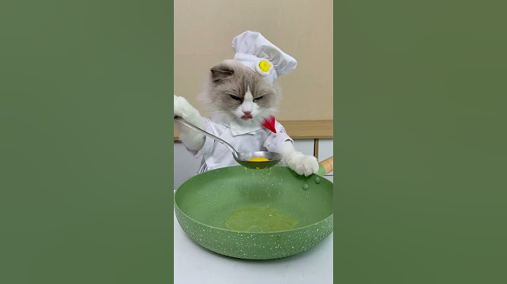 Show me your cooking hacks! #thatlittlepuff #catsofyoutube