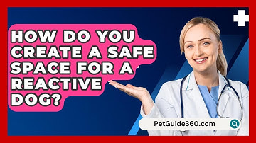 How Do You Create A Safe Space For A Reactive Dog? - PetGuide360.com