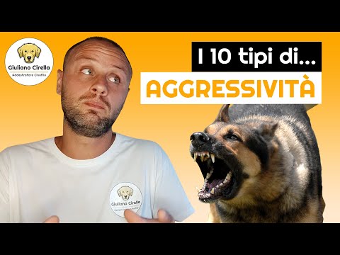 Video: 3 primi segni di aggressività nei cani