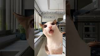 POV: indo ao cinema #gatos #pfvr #cat #pfv #pets #nflopaa #memes #nflopa #humor #foryou