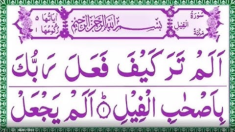 Quran Last 10 Surah | سورة الفيل| سورة الماعون |  سورة قريش | سورَةُ الكَوثَر سورة الكافرون