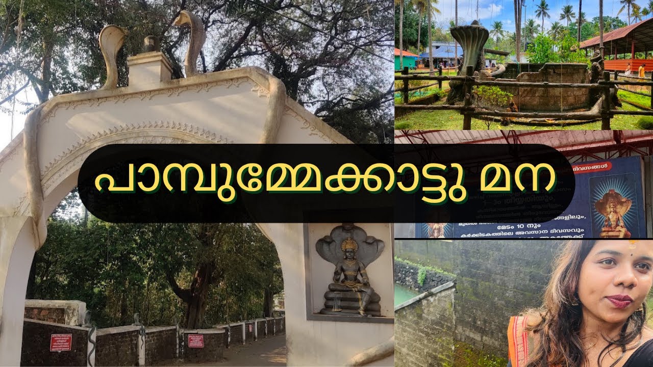 പാമ്പുമ്മേക്കാട്ടു മന |PAMBUMMEKKATTU MANA |TEMPLE VISIT | ANCIENT SERPENT TEMPLE IN KERALA | STORY