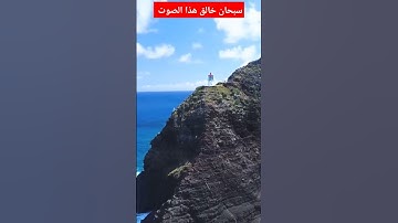 The Koran is a beautiful voice تلاوات رائعة تهتز لها القلوب #nature #تلاوات #music #القرآن_الكريم