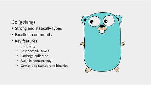 Learn Go Programming   Golang Tutorial for Beginners