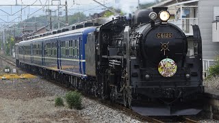 C61 20+12系+EF65 501臨時快速安中侍マラソン号高崎行き 5/12