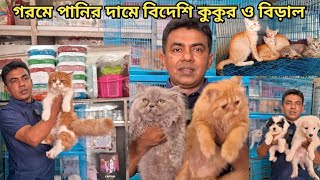 Dhaka katabon animal market cat and Dog Pretty birds Shop 23:01711467381