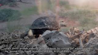 Austin Nature & Science Center Virtual Tour