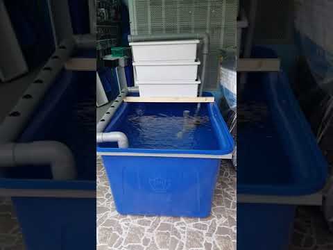 Video Combo bộ thùng nhựa 500l - youtube