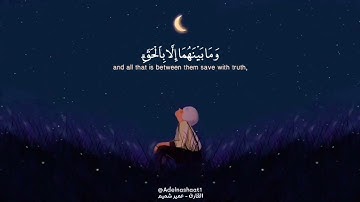 تلاوة رائعة لشيخ عمير شميم (هدوء وسكنية )