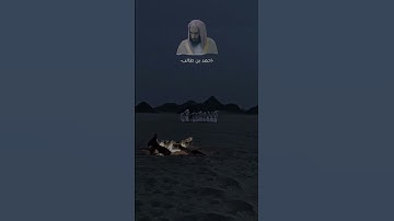 تلاوه خاشعه احمد بن طالب