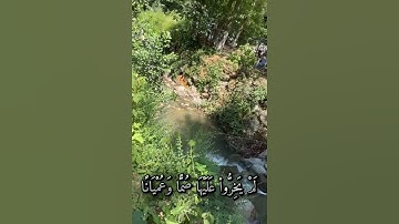 تلاوة هادئة في الغابة والشلالات