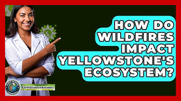 How Do Wildfires Impact Yellowstone