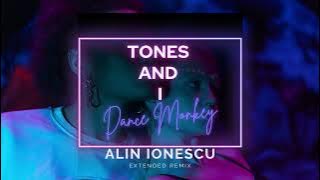 Tones and I ❌ Alin Ionescu - Dance Monkey | Extended Remix