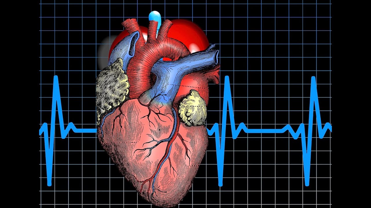 Malattie Cardiometaboliche