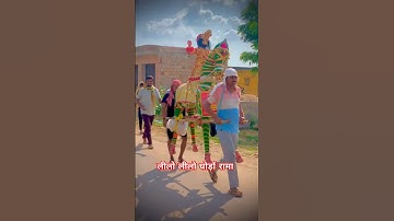 लीलो लीलो घोड़ों रामा #ramdevji #bhajan #jaibabaki #ramdevbaba #ramdevra #pedalyatra #shortvideo #yt