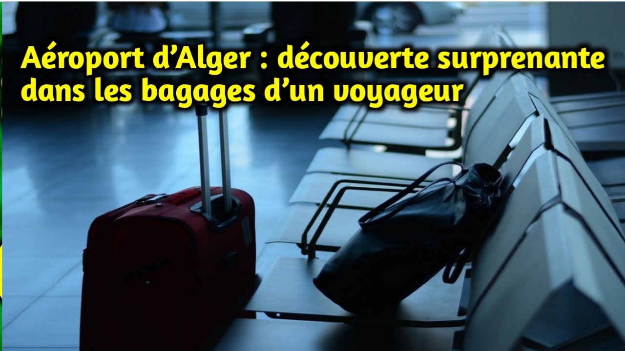 Aéroport d'Alger : découverte surprenante dans les bagages d'un voyageur -  YouTube