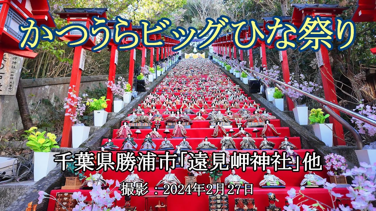 ひな祭り 町全体が雛人形で飾られる「ひなの里」 - 勝浦町観光情報サイト 阿波