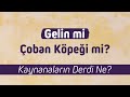 Gelin mi Çoban Köpeği mi? Kaynanaların derdi ne? l NUREDDİN YILDIZ