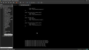 Konfigurasi Hosting Multi Domain DNS di Debian 10 Menggunakan VMware