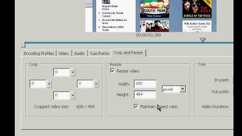 FLV Files/Player [Flash CS3]
