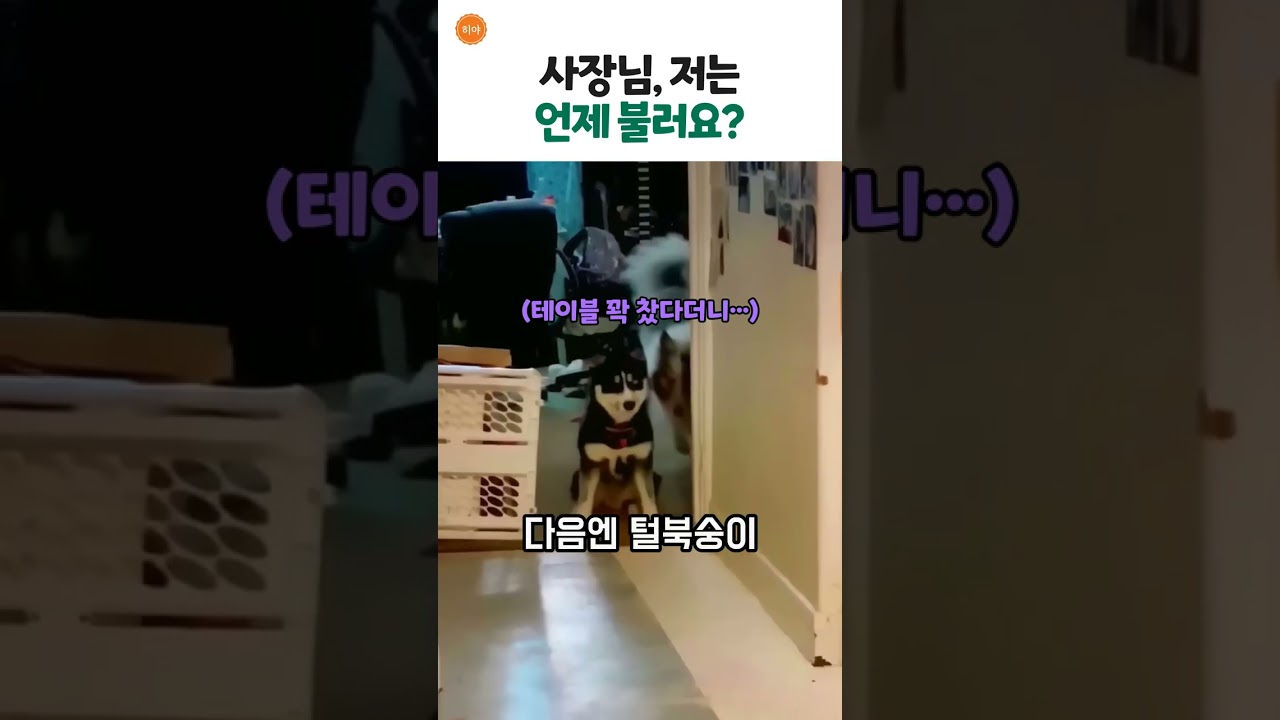 사장님 저는요?