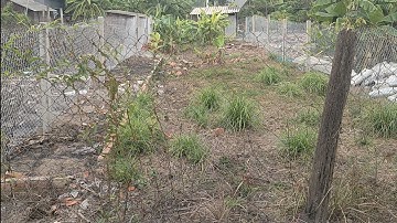 (ĐÃ BÁN)Bán một nền đất thổ cư.lô hai đường DH 20 xã Phước lâm.dt 6x25=150m² giá bán 1ty430tr