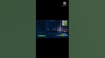 3 cat spam In Fortnite  be like #shorts