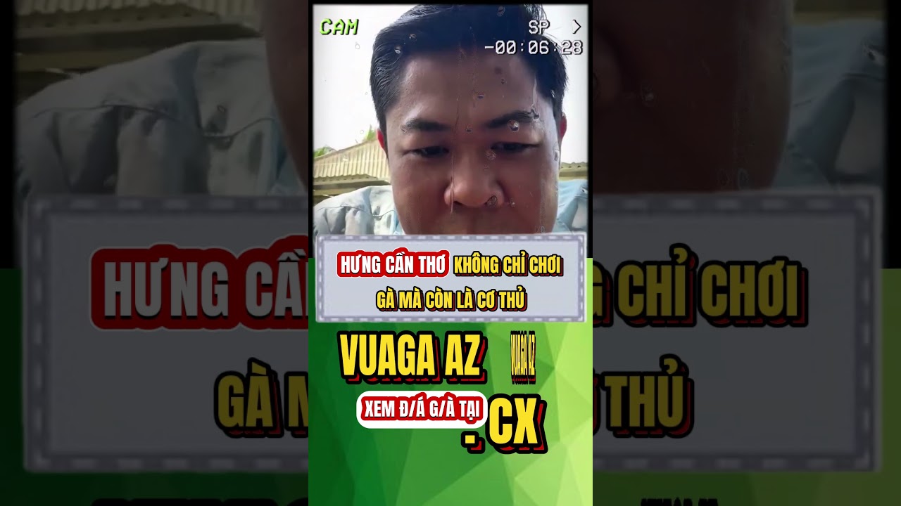 pretty wins casino ANH HƯNG CẦN THƠ LÀ CƠ THỦ az888 nuoiga dagathomo daga gà gàchiến dagatructiep
