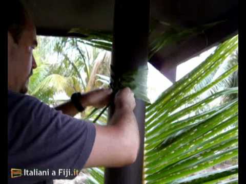 Come A Fiji Decoriamo Le Colonne Del Patio Con Le Fronde Delle Palme Da Cocco