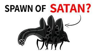 Silksong's Biology Will Send Me To The Psych Ward.