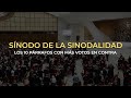 Snodo de la sinodalidad los 10 prrafos de la sntesis con ms votos en contra