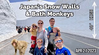 The Japanese Alps: Tateyama Snow Corridor & Nagano Monkey Park