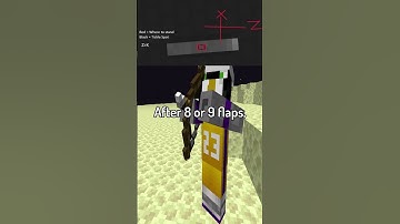 How Speedrunners 1 Shot the Dragon in 1.16+