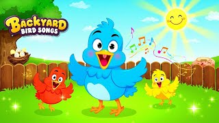 Backyard Bird Songs Fun Kids Cartoon Song About Birds Nature
