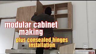 modular cabinet making and consealed hinges installation and tutorial #julyemz