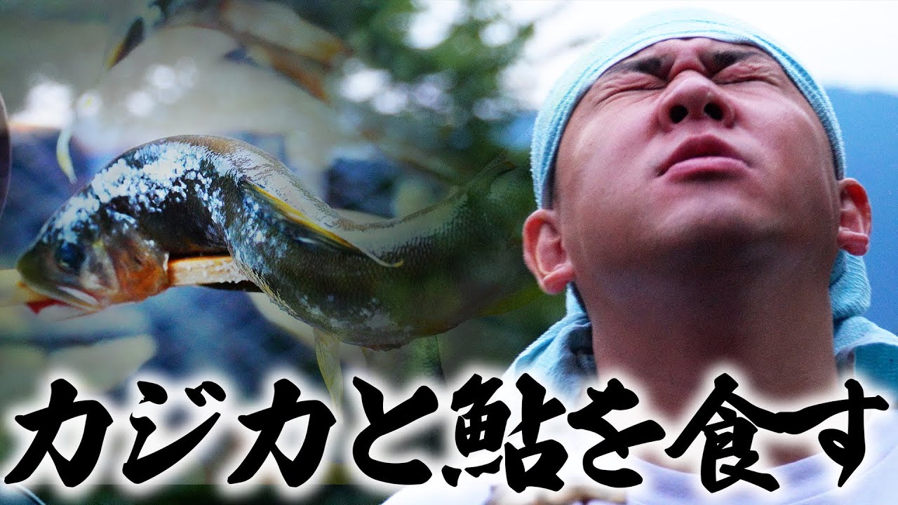 天然のアユをつまみにカジカの骨酒を嗜む