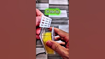 lọc mini yee, tạo luồng, dàn mưa và oxy #guppyxanh #guppyxanhvn #guppyxanhlongxuyen