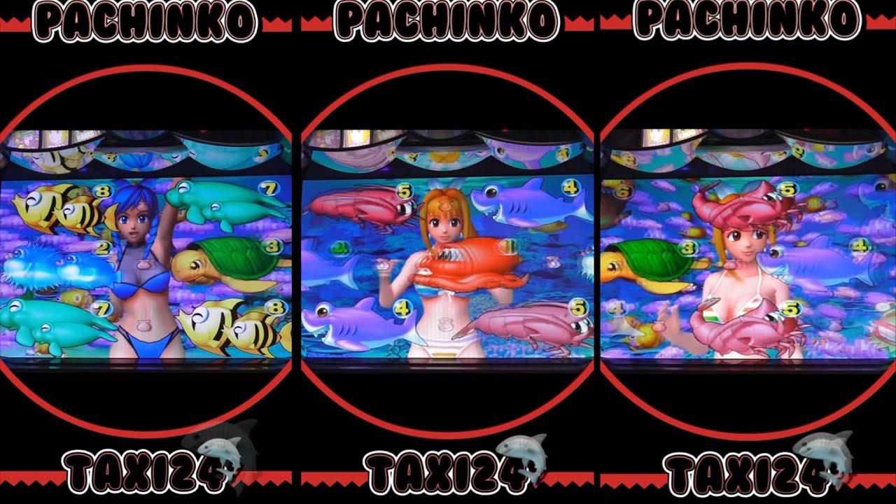 【スーパー海物語W55M】2025.12.17❷PACHINKO実機！2時間以上⏰ロング【約165分】