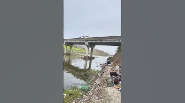 Tôi sợ nước nhưng tôi lại thích câu cá  #fishing #cauca#fish #caucagiaitri #fishinglife #shorts