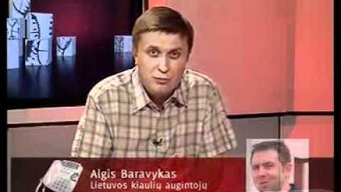 Karstas Vakaras 06 02 II dalis per BTV 20.25