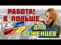 Работа в Польше для украинцев. Как найти работу в Польше. Врачи, внимание!