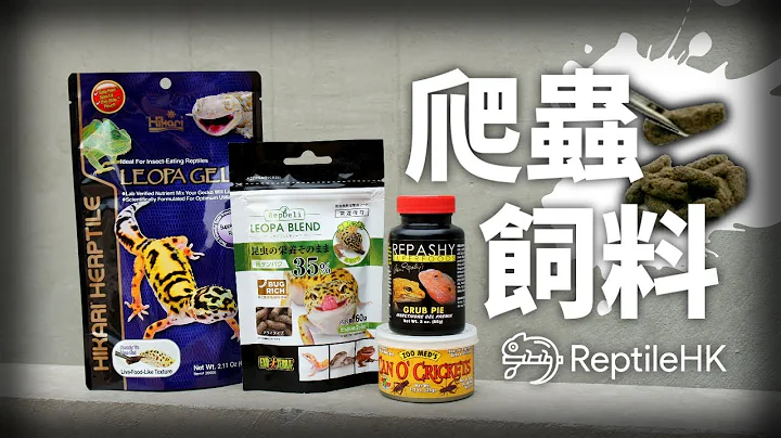 【介绍】爬虫/守宫饲料 以后不用再喂活虫?! | ReptileHK 爬虫香港 - 天天要闻