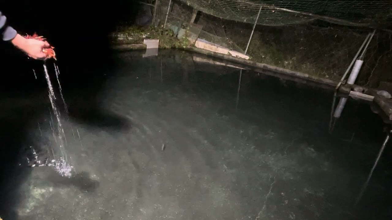 20251129飼育管理