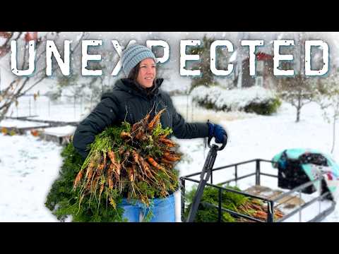 When Life Doesn T Go As Planned Homestead Struggles