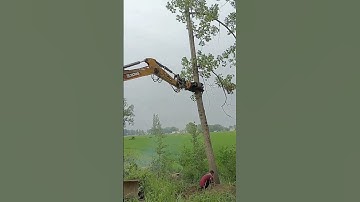 Using an excavator to assist with directional felling while cutting trees with a chainsaw