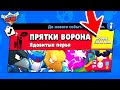 ПРЯТКИ ВОРОНА! НОВЫЙ МИНИ РЕЖИМ BRAWL STARS (КОНЦЕПТ)