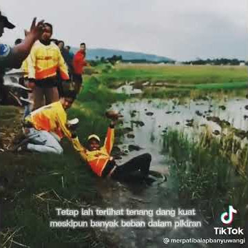 stori merpati balap ful ngakak