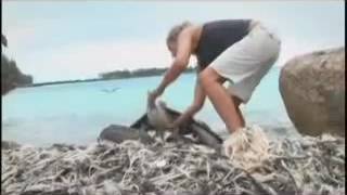 The Growing Problem of Microplastics