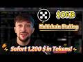 Staking $OKB — Anfänger bis Profi: mit OKX erreichen