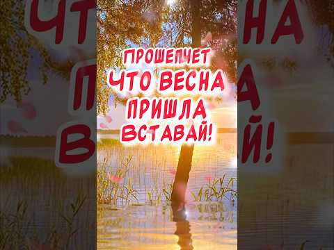 Тебе сегодня от меня! Доброе утро! С первым днем весны! С первым утром весны🕊️